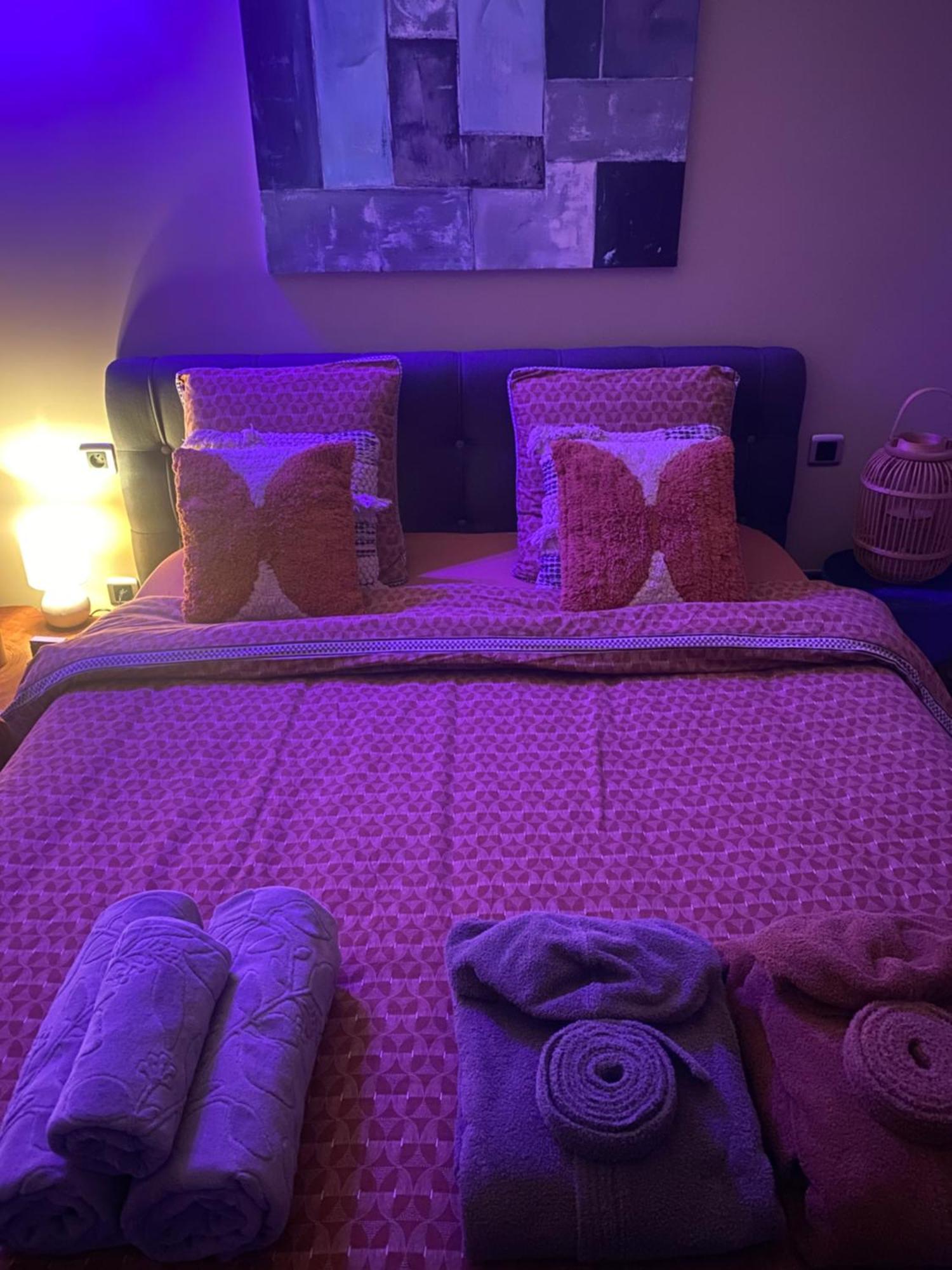 Le Cocoon Lodge Du Gapeau & Massage Solliès-Pont エクステリア 写真